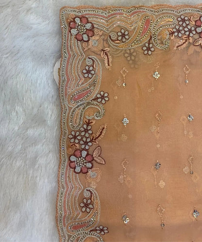 Paisley Embroidered Saree