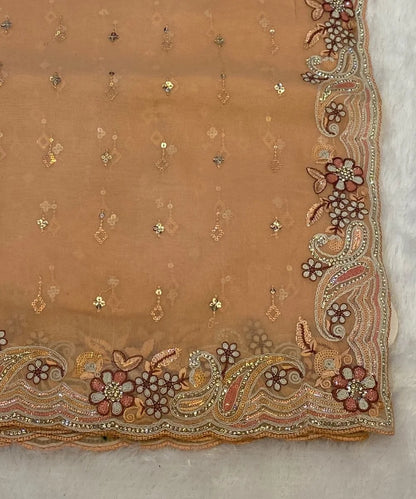 Paisley Embroidered Saree