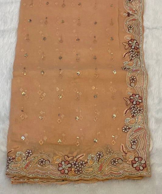 Paisley Embroidered Saree