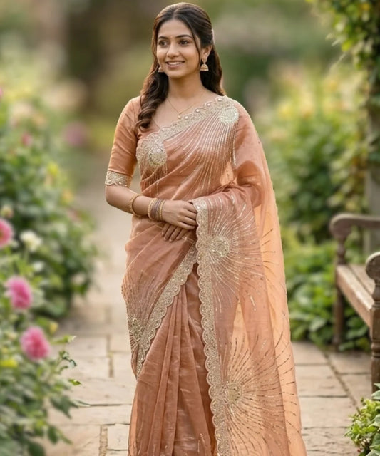 Net Saree for Occasion