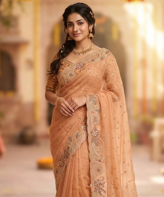 Paisley Embroidered Occasion Saree